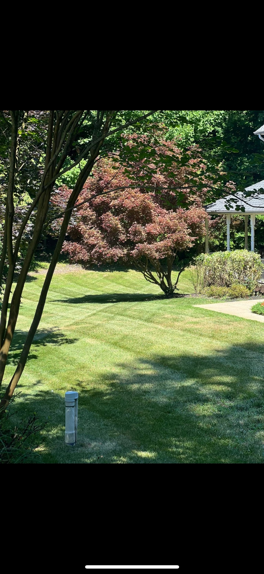 Regular lawn service (cut, trimming, edging, and blowing)