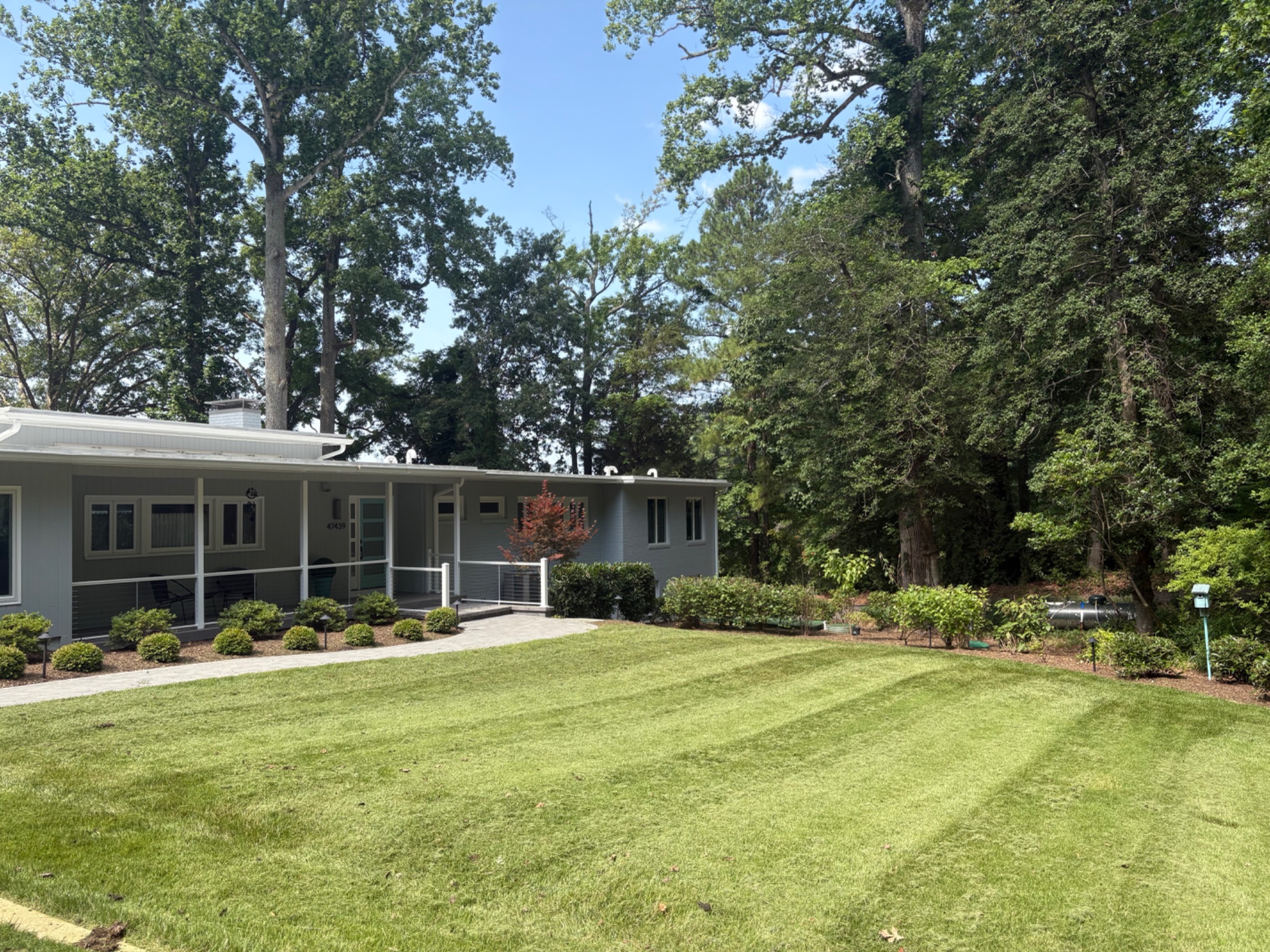 Regular lawn service (cut, trimming, edging, and blowing)