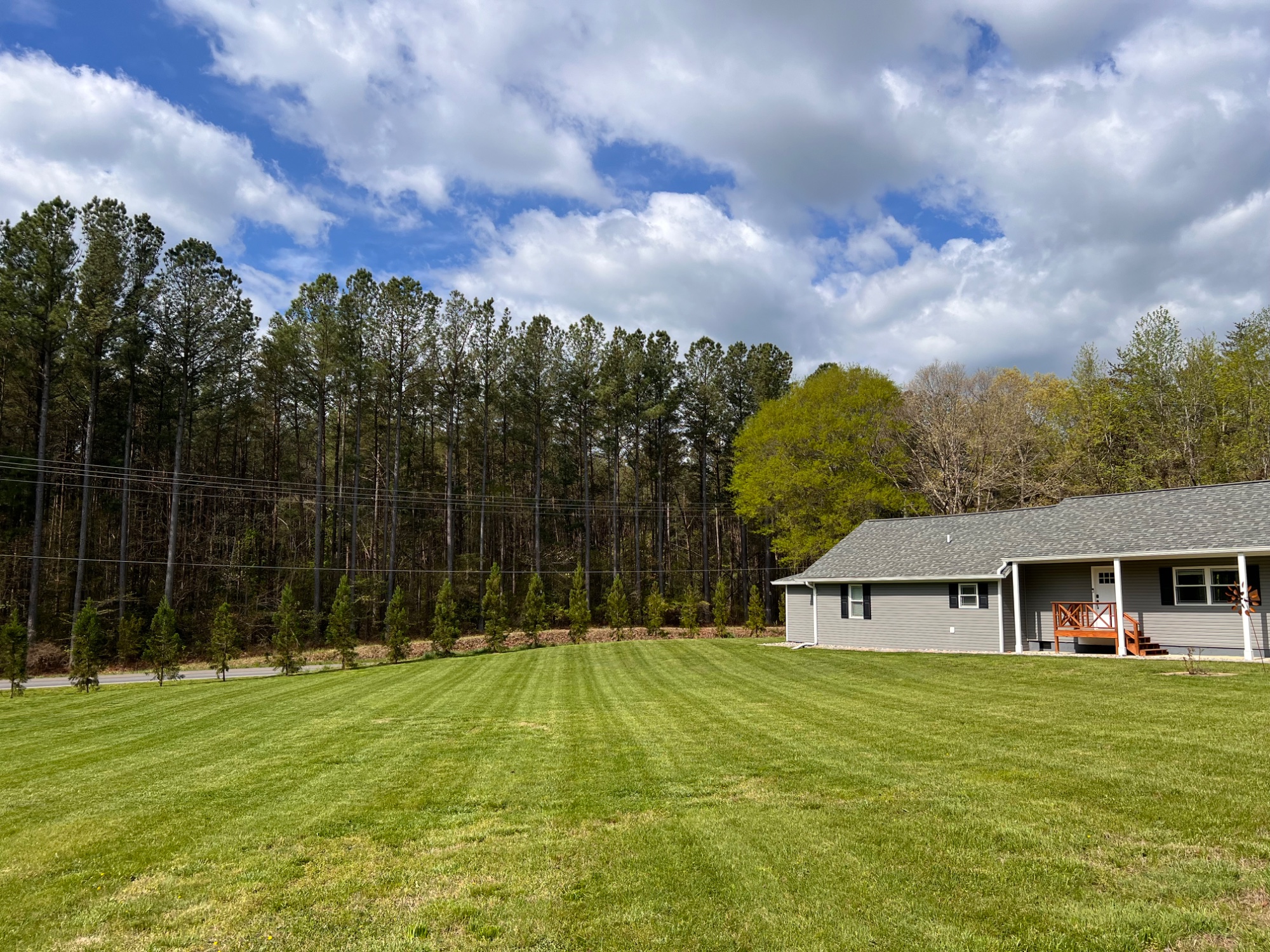Regular lawn service (cut, trimming, edging, and blowing)