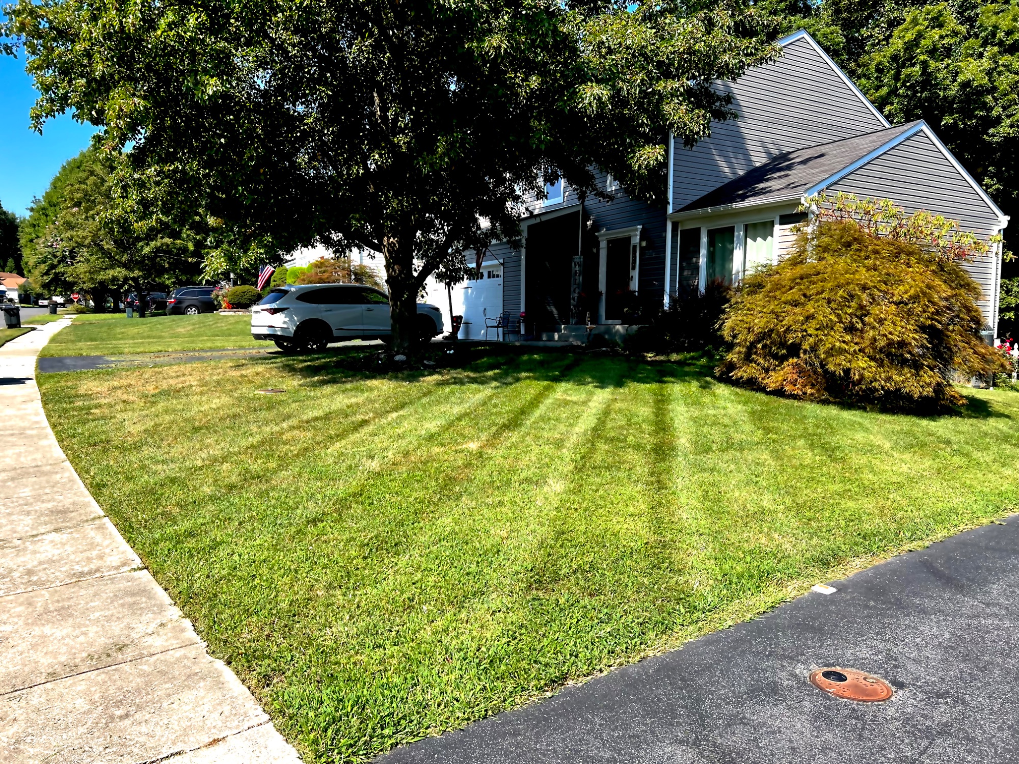 Regular lawn service (cut, trimming, edging, and blowing)