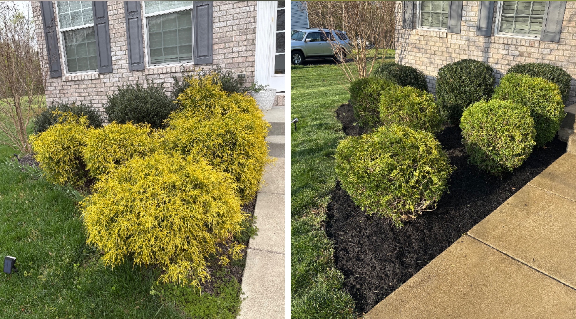 Mulch rehab