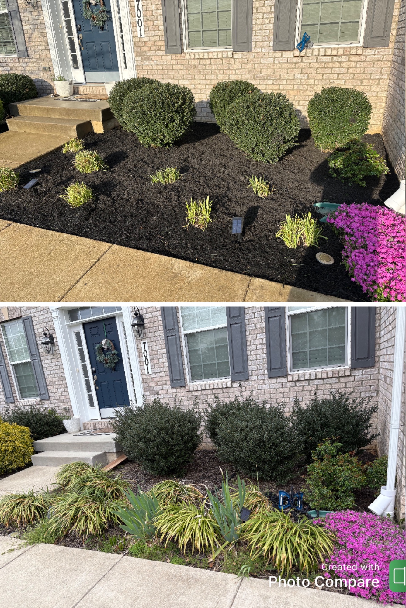 Mulch rehab