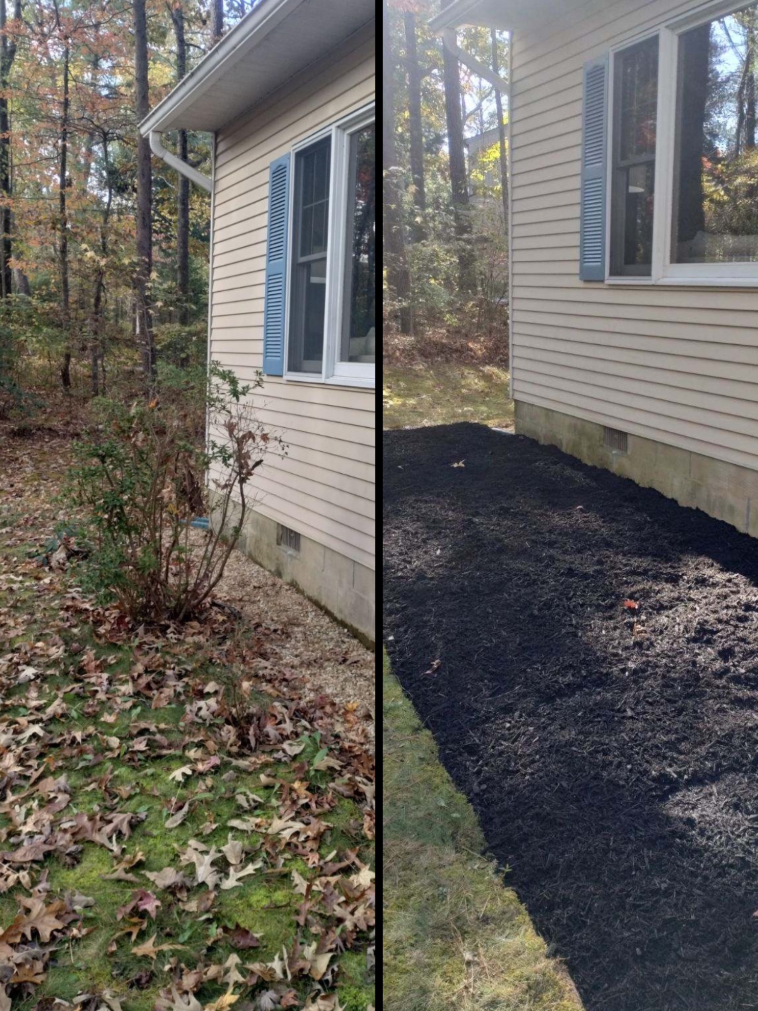 Mulch rehab